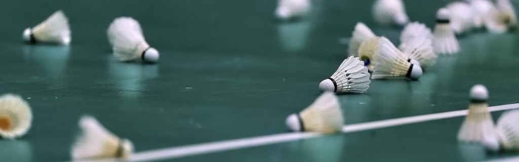 世界杯参赛球队介绍-原料价格回落叠加人造球升级，羽毛球涨价潮终于止步回调