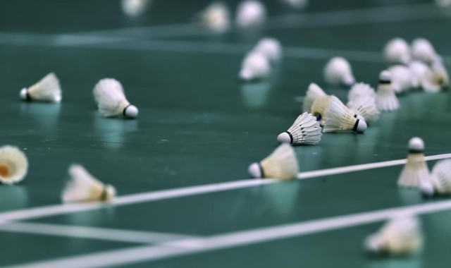 世界杯参赛球队介绍-原料价格回落叠加人造球升级，羽毛球涨价潮终于止步回调