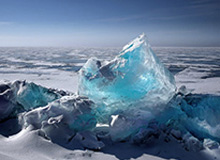 世界杯球员名单-紫金军团年轻新宠？ESPN称新赛季塔克将获大量机会